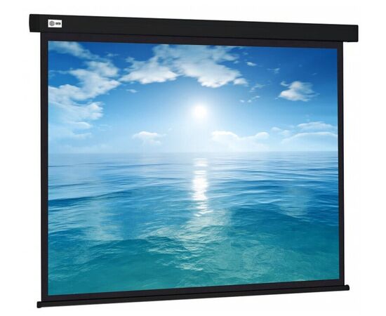  Экран Cactus CS-PSW-213X213-BK Wallscreen настенно-потолочный рулонный черный 