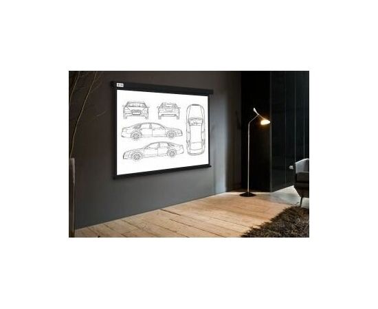  Экран Cactus CS-PSW-213X213-BK Wallscreen настенно-потолочный рулонный черный 