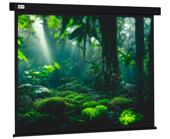  Экран Cactus CS-PSW-213X213-BK Wallscreen настенно-потолочный рулонный черный 
